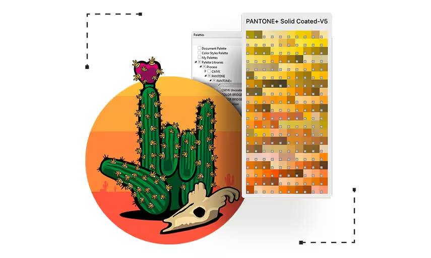 Understanding color palettes